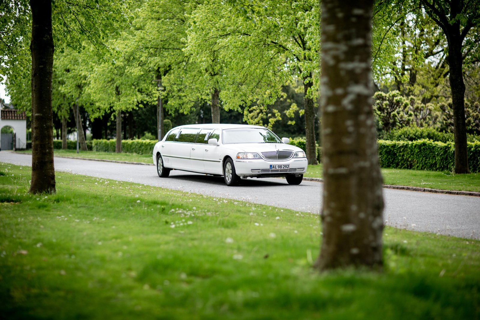Best Limousine Services Near Plano, Arlington, and Irving: A Local’s Guide